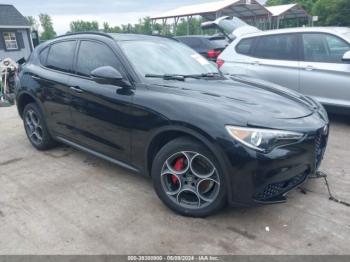  Salvage Alfa Romeo Stelvio