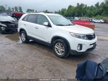  Salvage Kia Sorento