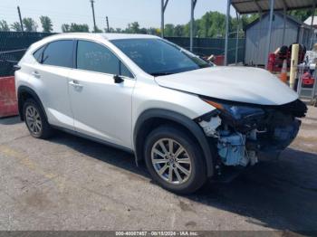  Salvage Lexus NX