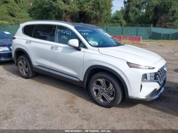  Salvage Hyundai SANTA FE