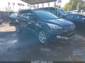  Salvage Ford Escape