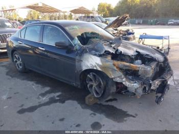  Salvage Honda Accord