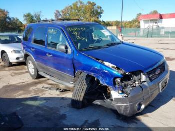  Salvage Ford Escape