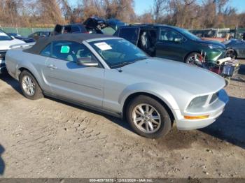  Salvage Ford Mustang