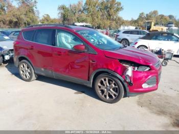  Salvage Ford Escape