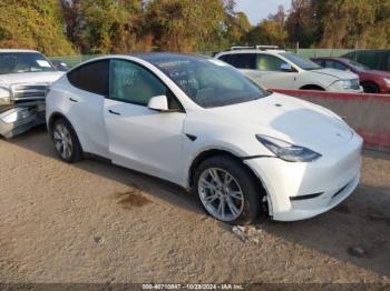  Salvage Tesla Model Y