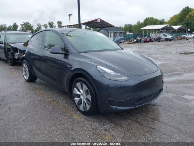  Salvage Tesla Model Y