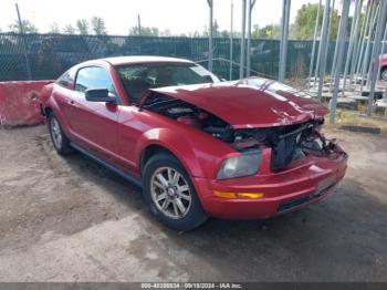  Salvage Ford Mustang