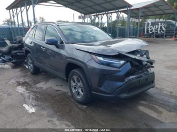  Salvage Toyota RAV4