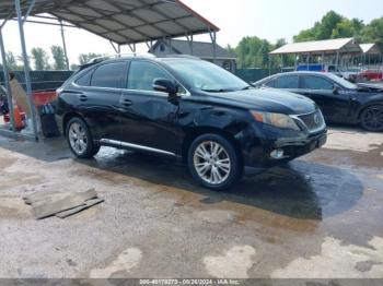  Salvage Lexus RX