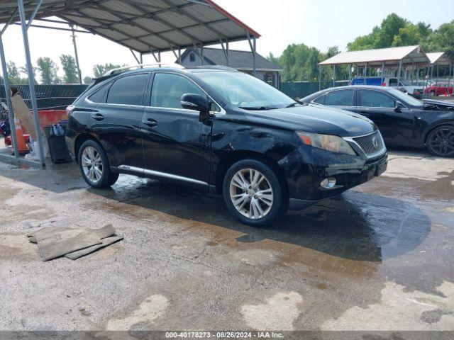  Salvage Lexus RX