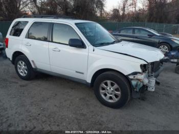  Salvage Mazda Tribute