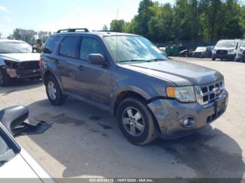  Salvage Ford Escape