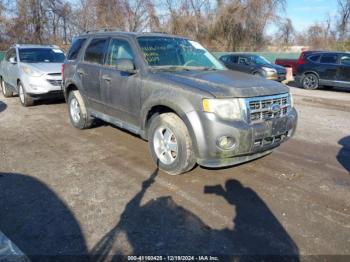  Salvage Ford Escape