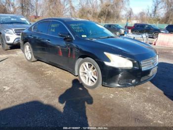  Salvage Nissan Maxima