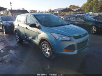  Salvage Ford Escape