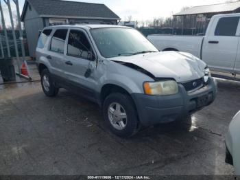  Salvage Ford Escape