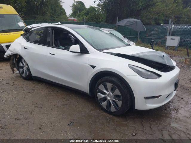  Salvage Tesla Model Y