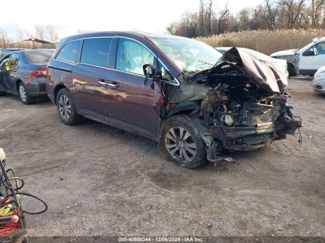  Salvage Honda Odyssey