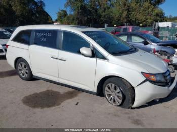  Salvage Honda Odyssey