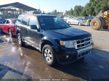  Salvage Ford Escape