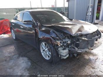  Salvage Nissan Maxima