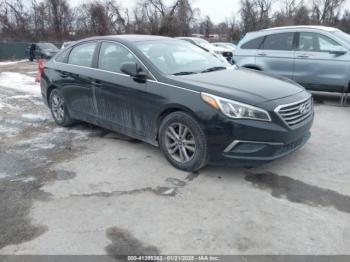  Salvage Hyundai SONATA