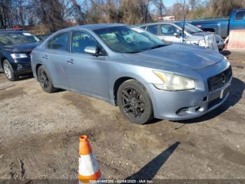  Salvage Nissan Maxima