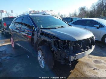  Salvage Lexus RX