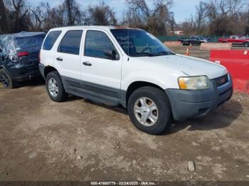  Salvage Ford Escape