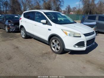  Salvage Ford Escape