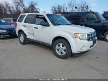  Salvage Ford Escape