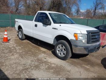  Salvage Ford F-150