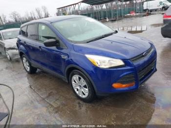  Salvage Ford Escape