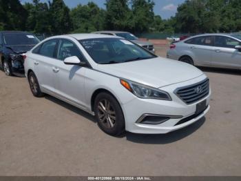  Salvage Hyundai SONATA