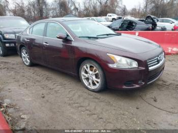  Salvage Nissan Maxima