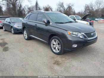  Salvage Lexus RX