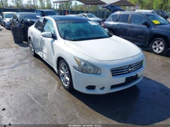  Salvage Nissan Maxima