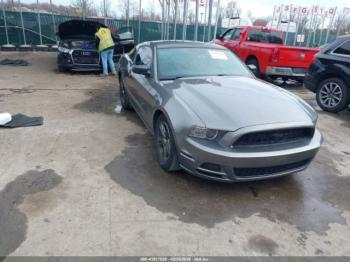  Salvage Ford Mustang