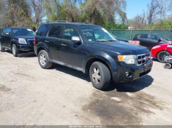  Salvage Ford Escape