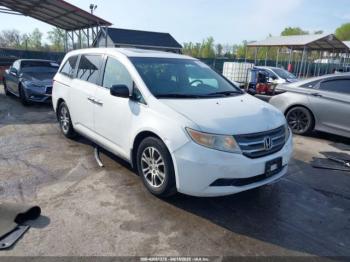  Salvage Honda Odyssey