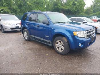  Salvage Ford Escape