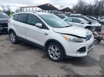  Salvage Ford Escape
