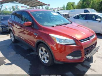  Salvage Ford Escape