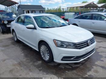  Salvage Volkswagen Passat