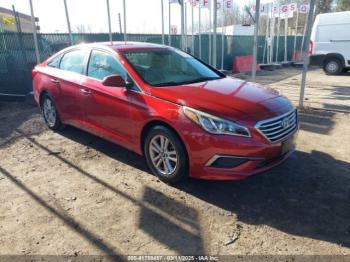  Salvage Hyundai SONATA