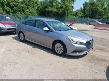  Salvage Hyundai SONATA