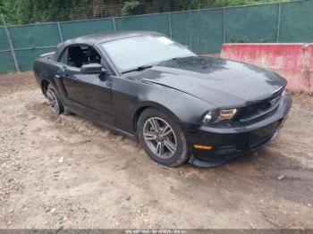  Salvage Ford Mustang