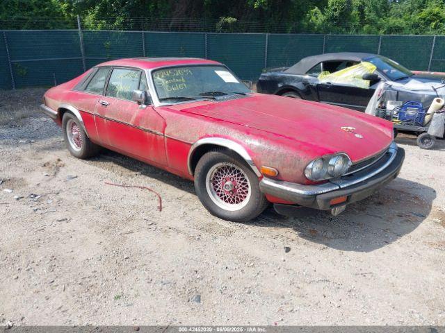  Salvage Jaguar Xjs