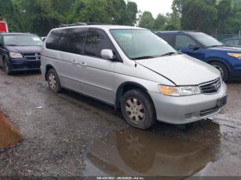  Salvage Honda Odyssey